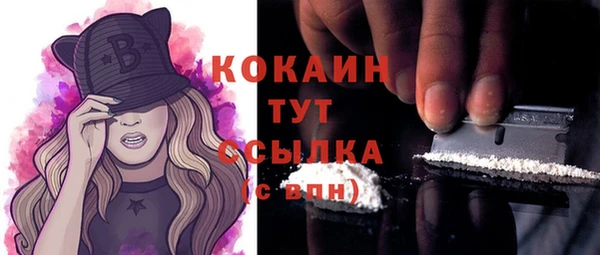 МДПВ Липки