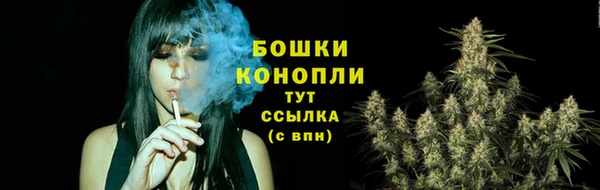 МДПВ Липки
