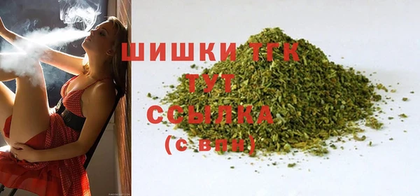 МДПВ Липки