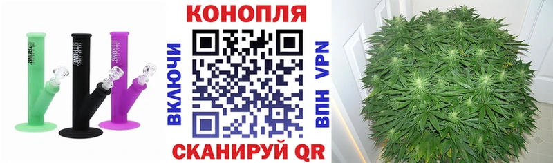 Купить закладки  Похвистнево  МАРИХУАНА VHQ 